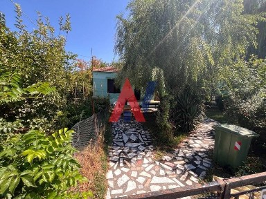 Σαράντα Μάρτυρες - Πανεπιστημιούπολη, Σέρρες (Ν. Σέρρες)