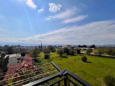 Βασιλικό, Ληλάντιο (Εύβοια), Αγγελέτου, 340 02 Ληλάντιοι
