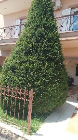 Studio / Γκαρσονιέρα, 25τ. μ.