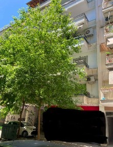 Σέρρες (Ν. Σέρρες), Δυτικής Θράκης 22