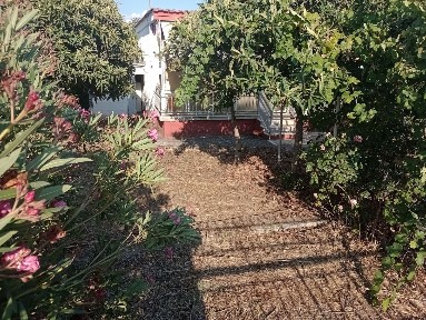 Μεσοκώμη, Στρυμώνας (Ν. Σέρρες), Ανατολικής Θράκης, Μεσοκώμη 62500