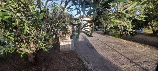 Επτάμυλοι, Σέρρες (Ν. Σέρρες), Νέας Σμύρνης, Επταμύλοι 62500