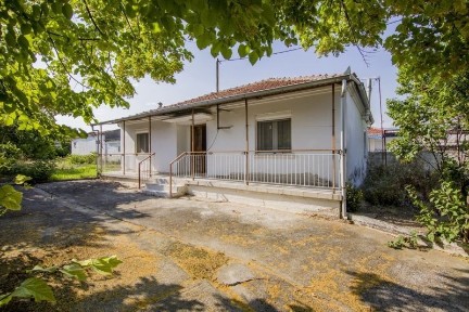 Κέντρο, Νέα Ζίχνη (Ν. Σέρρες)