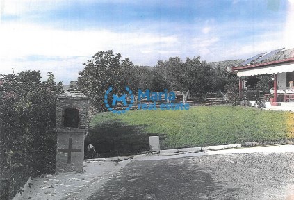 Κέντρο, Λευκώνας (Ν. Σέρρες)