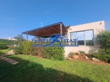 Κέντρο, Μαραθώνας (Αθήνα - Ανατολικά Προάστια)