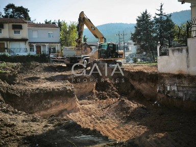 Κέντρο, Πεύκα (Θεσσαλονίκη - Περιφ/κοί δήμοι)