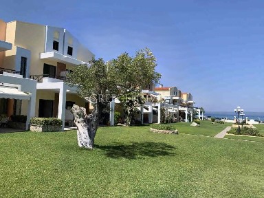 Πευκοχώρι, Παλλήνη (Χαλκιδική)
