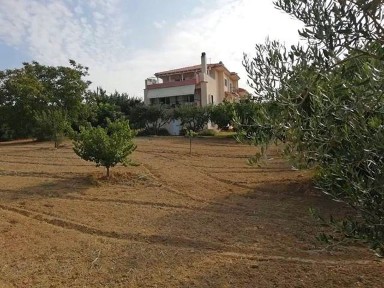 Τρίλοφο, Μίκρα (Θεσσαλονίκη - Περιφ/κοί δήμοι), Επαρ. Οδ. Νέων Μουδανιών - Θεσσαλονίκης, Θέρμη 575 00, Ελλάδα
