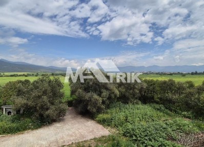 Λακκιά, Βασιλικά (Θεσσαλονίκη - Περιφ/κοί δήμοι)