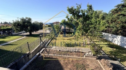 Πολύχρονο, Παλλήνη (Χαλκιδική)