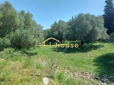 Ελειός - Πρόννοι, Κεφαλονιά (Ν. Κεφαλονιάς), Ατσουπάδων-Τζανάτων, 280 86, Έλειο-Πρόνοι