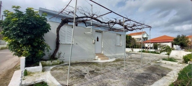 Παλική, Κεφαλονιά (Ν. Κεφαλονιάς)