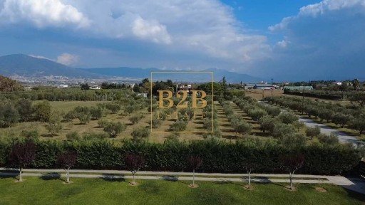 Ταγαράδες, Θέρμη (Θεσσαλονίκη - Περιφ/κοί δήμοι)