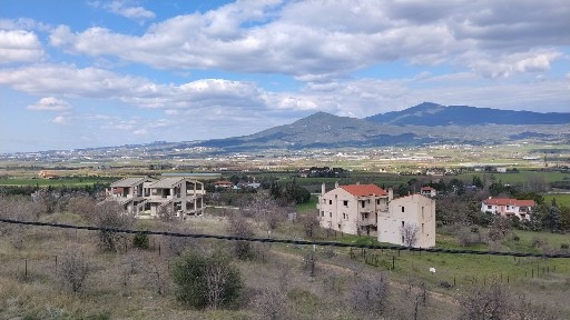 Σουρωτή, Βασιλικά (Θεσσαλονίκη - Περιφ/κοί δήμοι)