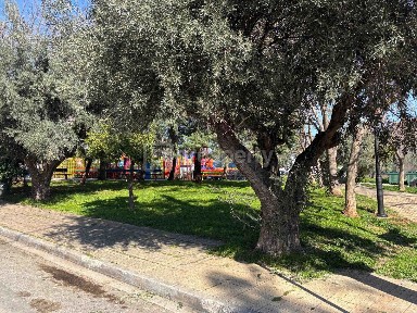 Μπάλανα, Γέρακας (Αθήνα - Ανατολικά Προάστια)