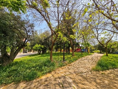 Μπάλανα, Γέρακας (Αθήνα - Ανατολικά Προάστια)