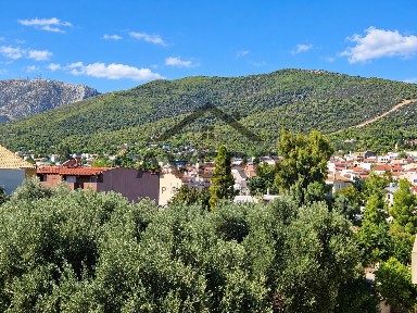 Μπάλανα, Γέρακας (Αθήνα - Ανατολικά Προάστια)