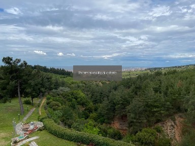 Ελαιώνες, Πυλαία (Θεσσαλονίκη - Περιφ/κοί δήμοι)