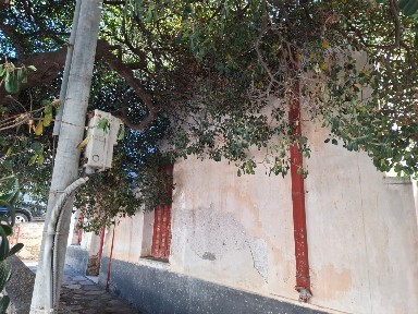 Μονοκατοικία, 185τ. μ.