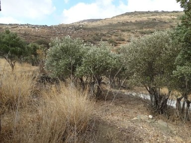 Μονοκατοικία, 37τ. μ.