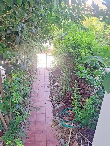 Νέο Ρύσιο, Θέρμη (Θεσσαλονίκη - Περιφ/κοί δήμοι)