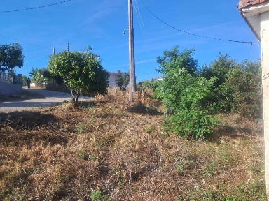 Βαλανιδόραχη, Φανάρι (Ν. Πρέβεζας)
