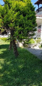 Καλλιθέα, Παραλία (Ν. Πιερίας), Μ. Αλεξάνδρου Καλλιθέα Πιερίας