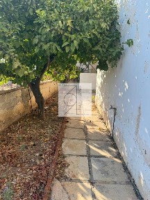 Άλιμος (Αθήνα - Νότια Προάστια)