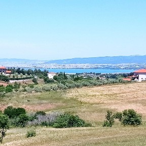 Πλαγιάρι, Μίκρα (Θεσσαλονίκη - Περιφ/κοί δήμοι), Καραβαγγέλη 6, Μίκρα 57500