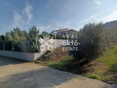 Μονοκατοικία, 250τ. μ.