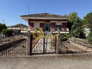 Επισκοπή, Αντιγονίδες (Ημαθία), Δημοτικό Σχολείο, Επισκοπή 59300