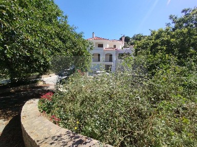 Σάμος (Ν. Σάμου)