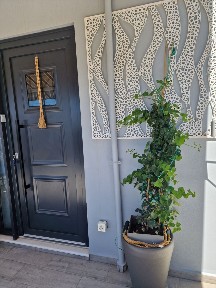 Ποσειδωνία, Σύρος (Κυκλάδες), Ήρας, 841 00 Ποσειδωνία