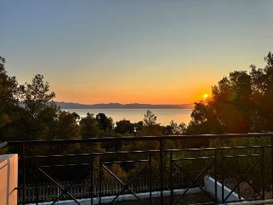 Θεολόγος, Μαλεσίνα (Φθιώτιδα), Φθιώτιδα, Μαλεσίνα