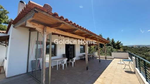 Θεολόγος, Μαλεσίνα (Φθιώτιδα), M+G Μαλεσίνα, Ελλάδα