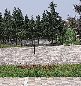 Μαρτίνο, Οπούντα (Φθιώτιδα), Φεραίου Ρήγα, 350 05 Οπούντιοι