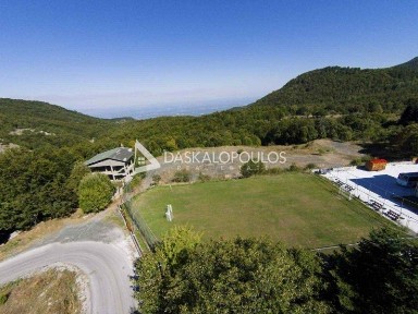 Άγιος Παύλος, Νάουσα (Ημαθία)