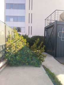Ελληνορώσων, Αμπελόκηποι - Πεντάγωνο (Αθήνα - Κέντρο)