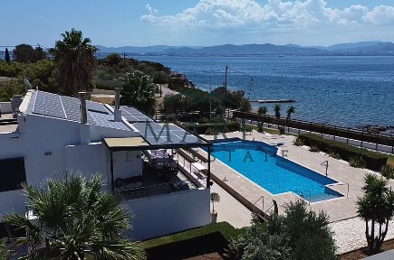 Φλάμπουρο, Λουτράκι-Περαχώρα (Κορινθία)
