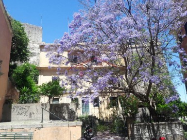 Μονοκατοικία, 532τ. μ.