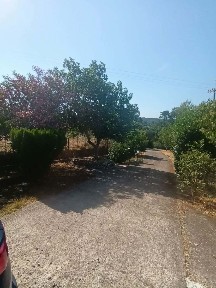 Μονοκατοικία, 60τ. μ.