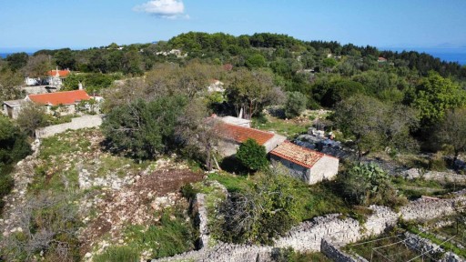 Αντιπαξοι, Παξοί (Ν. Κέρκυρας)