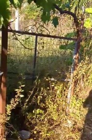 Μονοκατοικία, 40τ. μ.