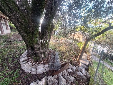 Μονοκατοικία, 86τ. μ.