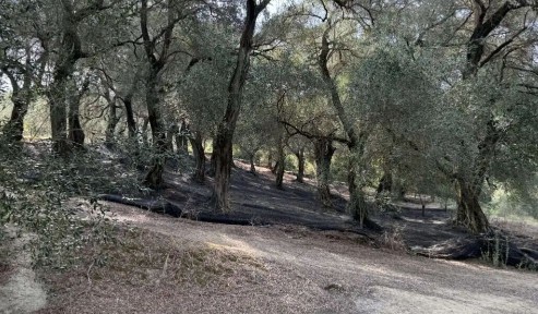 Μονοκατοικία, 350τ. μ.