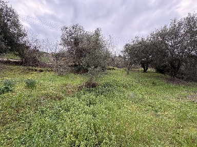 Μονοκατοικία, 176τ. μ.