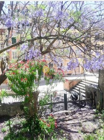 Μονοκατοικία, 540τ. μ.