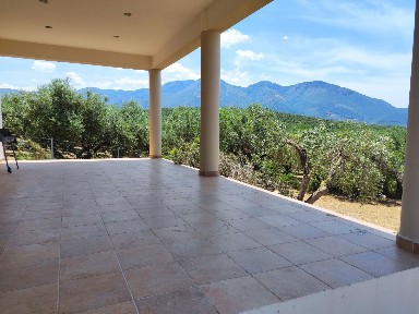 Studio / Γκαρσονιέρα, 55τ. μ.