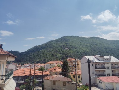 Studio / Γκαρσονιέρα, 50τ. μ.