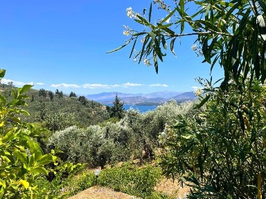 Διαμέρισμα, 43τ. μ.